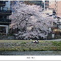 鴨川-五條至四條間情侶