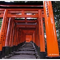 稻荷神社-千鳥居長廊