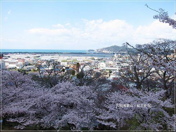 紀三井寺-和歌山港灣