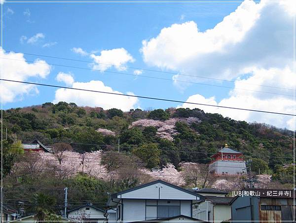 紀三井寺-參道遠眺