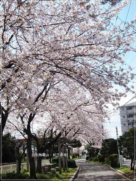 紀三井寺-綠道