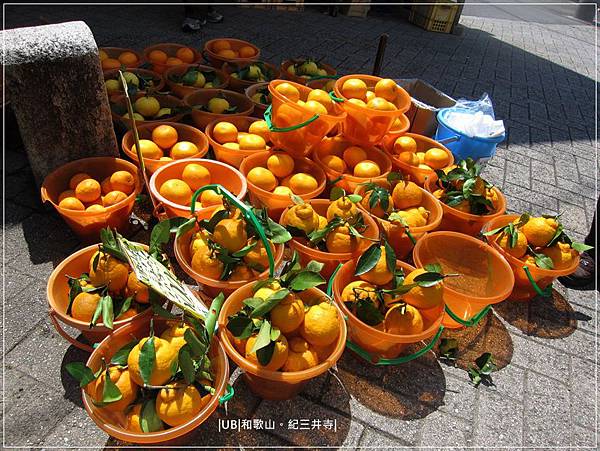 紀三井寺-顏色好美的柑橘