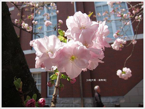 造幣局-福祿壽