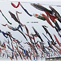 鯉魚祭-滿天鯉魚旗