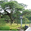 兼六園-唐崎松旁.JPG