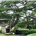 兼六園-唐崎松石燈籠-1.JPG