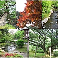 兼六園-園區好景致.jpg