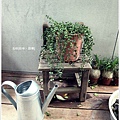 田樂-2F戶外植物.JPG