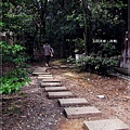 茂庵-林蔭小道.JPG