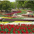 萬博紀念公園-鬱金香田.JPG