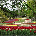 萬博紀念公園-鬱金香花園.JPG
