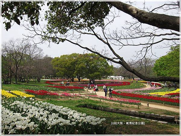 萬博紀念公園-鬱金香園.JPG