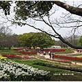 萬博紀念公園-鬱金香園.JPG