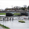 鴨川-橋下跳石全景.JPG