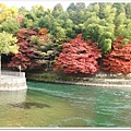 宇治-川邊楓紅.JPG