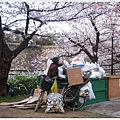 大阪城-公園拾荒老人.JPG