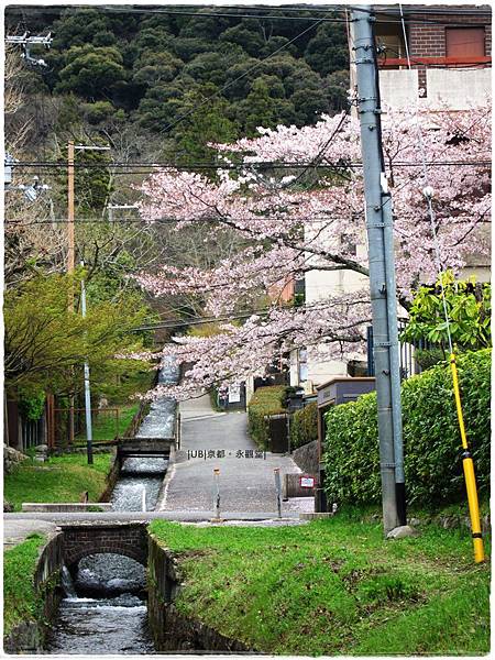 永觀堂-琵琶疏水道.JPG