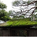 南禪寺-青苔屋頂.JPG