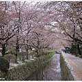 哲學之道-琵琶疏水道3.JPG