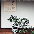 珍珠茶屋-緣廊盆栽.JPG