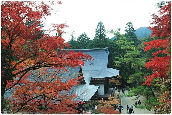 神護寺-金堂前階梯-1.JPG