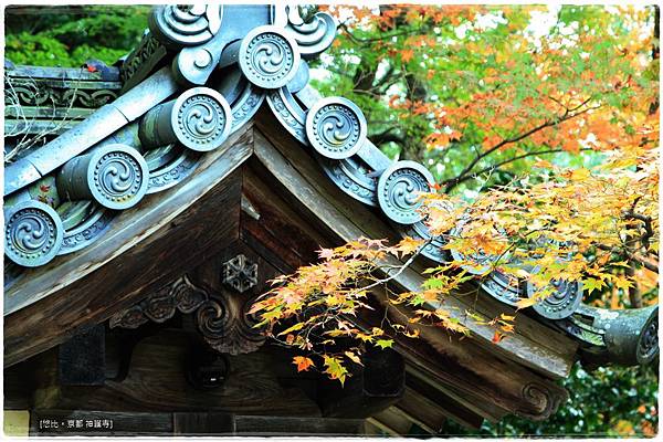 神護寺-屋簷-1.JPG