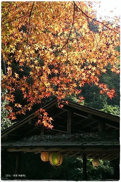 神護寺-清瀧川旁-2.jpg