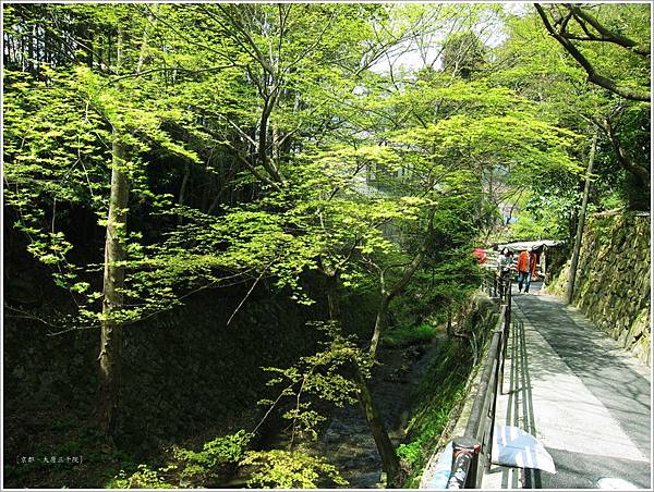 三千院-綠色參道.JPG