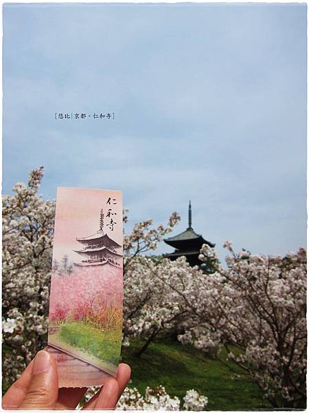 仁和寺-櫻+五重塔-門票.JPG