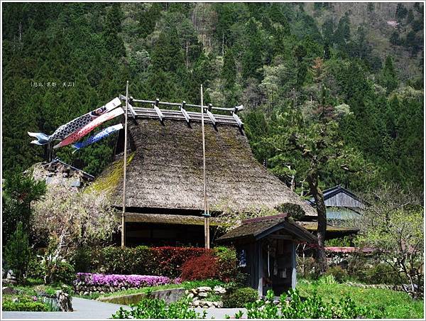 美山-茅萁屋+鯉魚旗-1.JPG