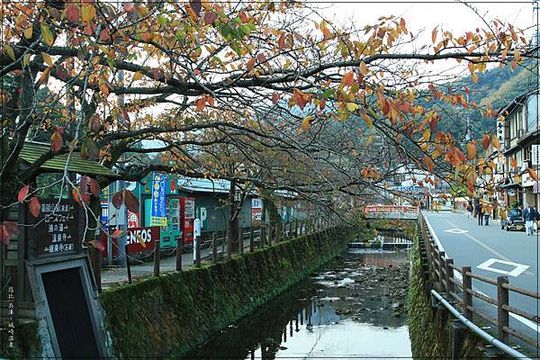 城崎溫泉-大谿川-2.jpg 城崎溫泉-大谿川-2.jpg