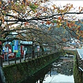 城崎溫泉-大谿川-2.jpg