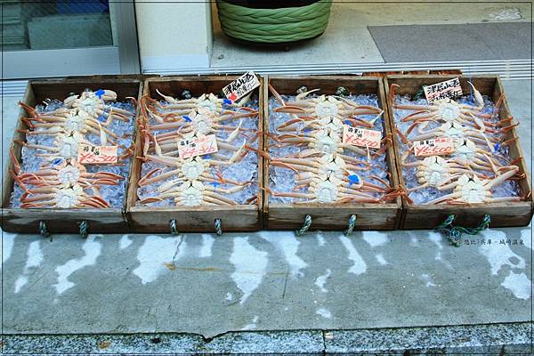 城崎溫泉-松葉蟹-1.jpg 城崎溫泉-松葉蟹-1.jpg
