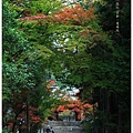 京都-一乘寺-曼殊院-4.jpg