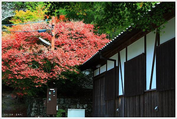 京都-一乘寺-曼殊院-11.jpg