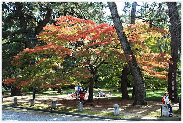 京都-京都御苑-3.jpg
