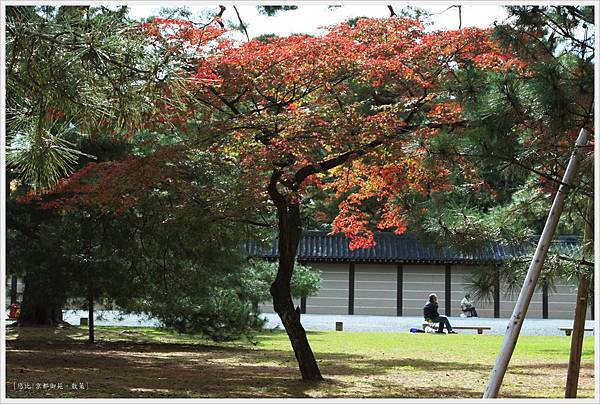京都-京都御苑-9.jpg