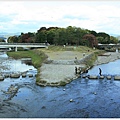 京都-鴨川三角洲-1.jpg