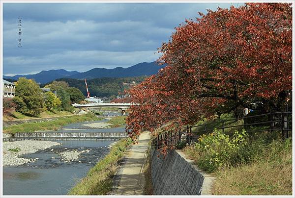 京都-鴨川三角洲-6.jpg
