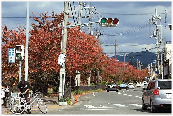 京都-鴨川三角洲-6路邊.jpg