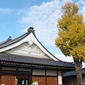 東本願寺-銀杏-1.JPG