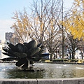 東本願寺-噴水蓮花-1.JPG