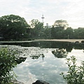 涉成園-印月池京都塔-1.JPG