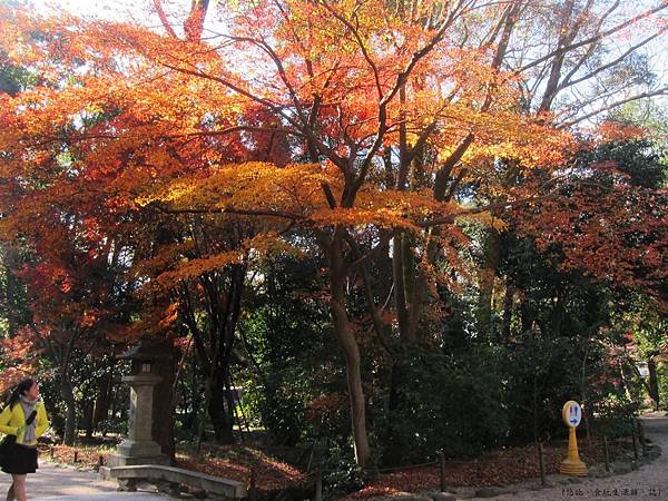 下鴨神社-4.JPG