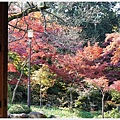 川越-喜多院-紅葉山庭園-6.JPG