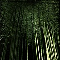 嵐山-竹林-1.JPG