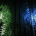 嵐山-竹林-4.JPG