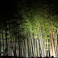 嵐山-竹林-8.JPG