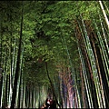嵐山-竹林-9.JPG