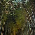 嵐山-竹林-11.JPG
